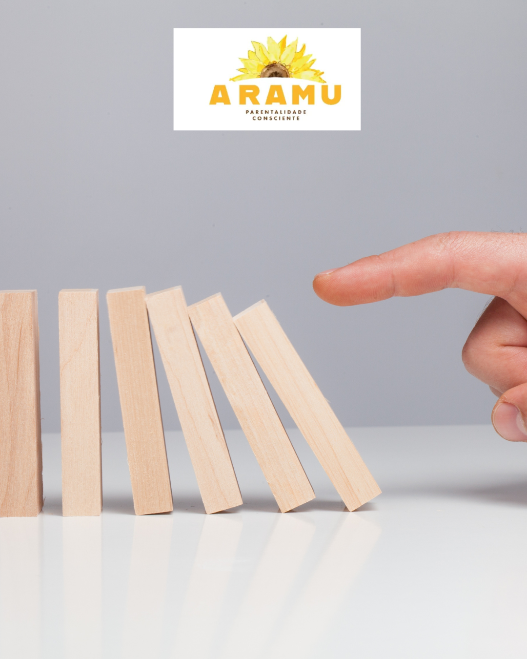 Consequências Lógicas e Naturais