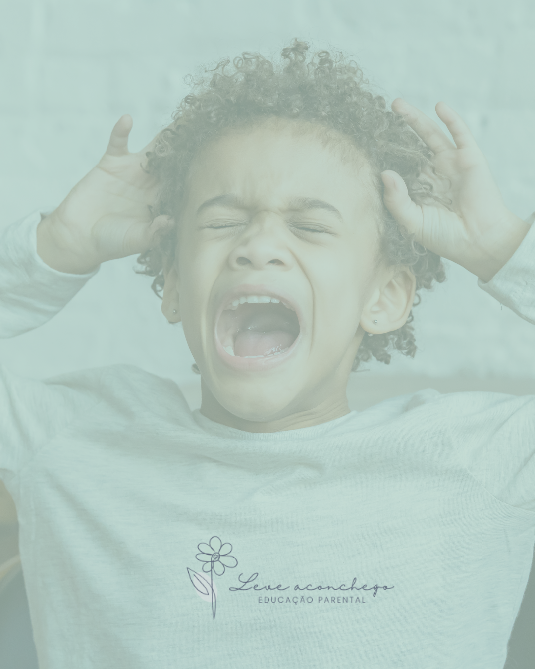 Será que seu filho quis dizer isso mesmo? Entenda as Entrelinhas das Emoções…